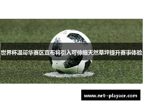 世界杯温哥华赛区宣布将引入可伸缩天然草坪提升赛事体验